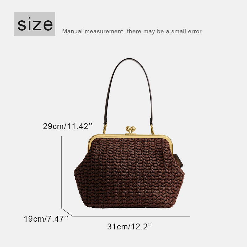 Hand-Woven Kisslock Frame Shou - Luxury Bags On Sale review and price