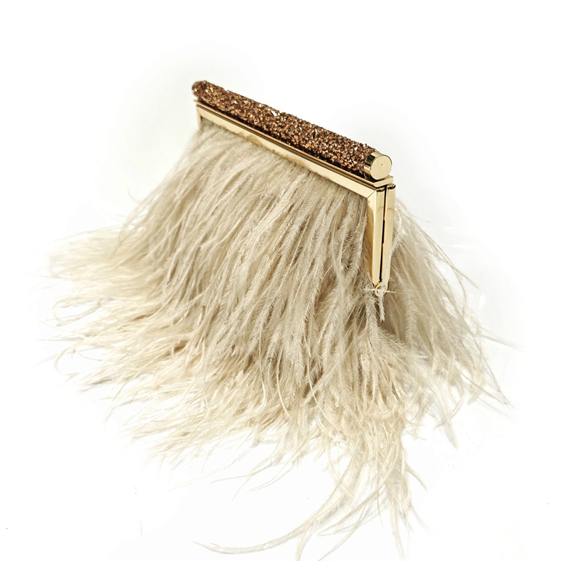 Fashion Clutch Metal frame Eve - Luxury Bags On Sale review and price